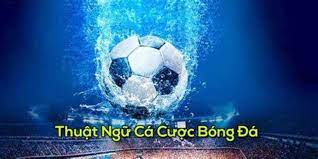 Những thuật ngữ cá độ bóng đá phổ biến nhất năm 2025